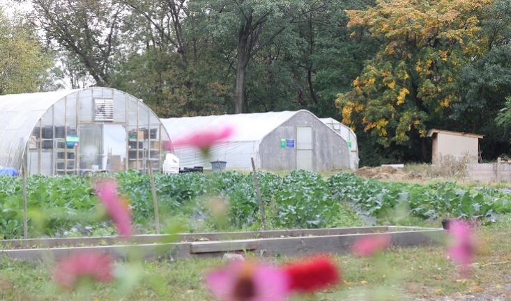 File:AgriculturalVillageAtAwbury.jpg