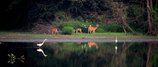 File:HeinzWildlifeRefuge.jpg