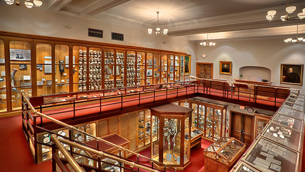 File:MuetterMuseum.jpg
