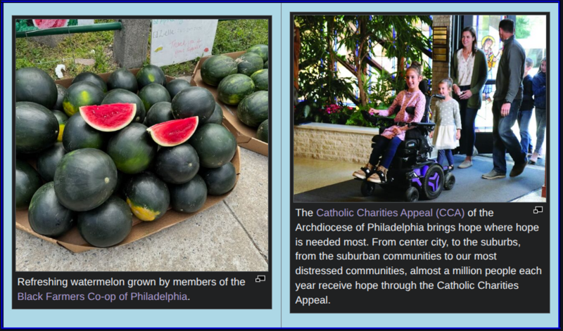 File:Aug04MainPagePics.png