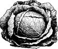 Thumbnail for version as of 15:13, 25 April 2019