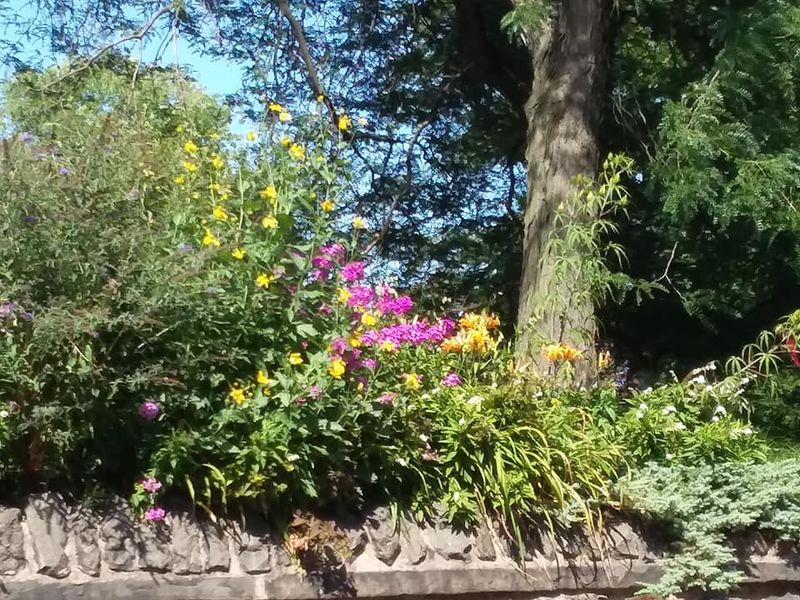 File:FriendsOfOveringtonPark.jpg